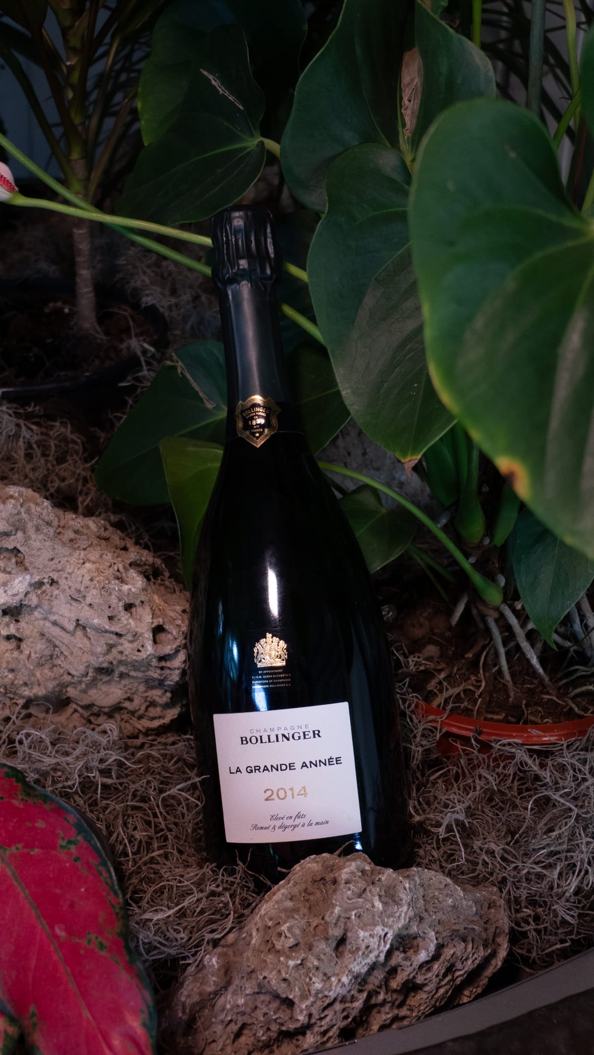 Bollinger La Grande Année