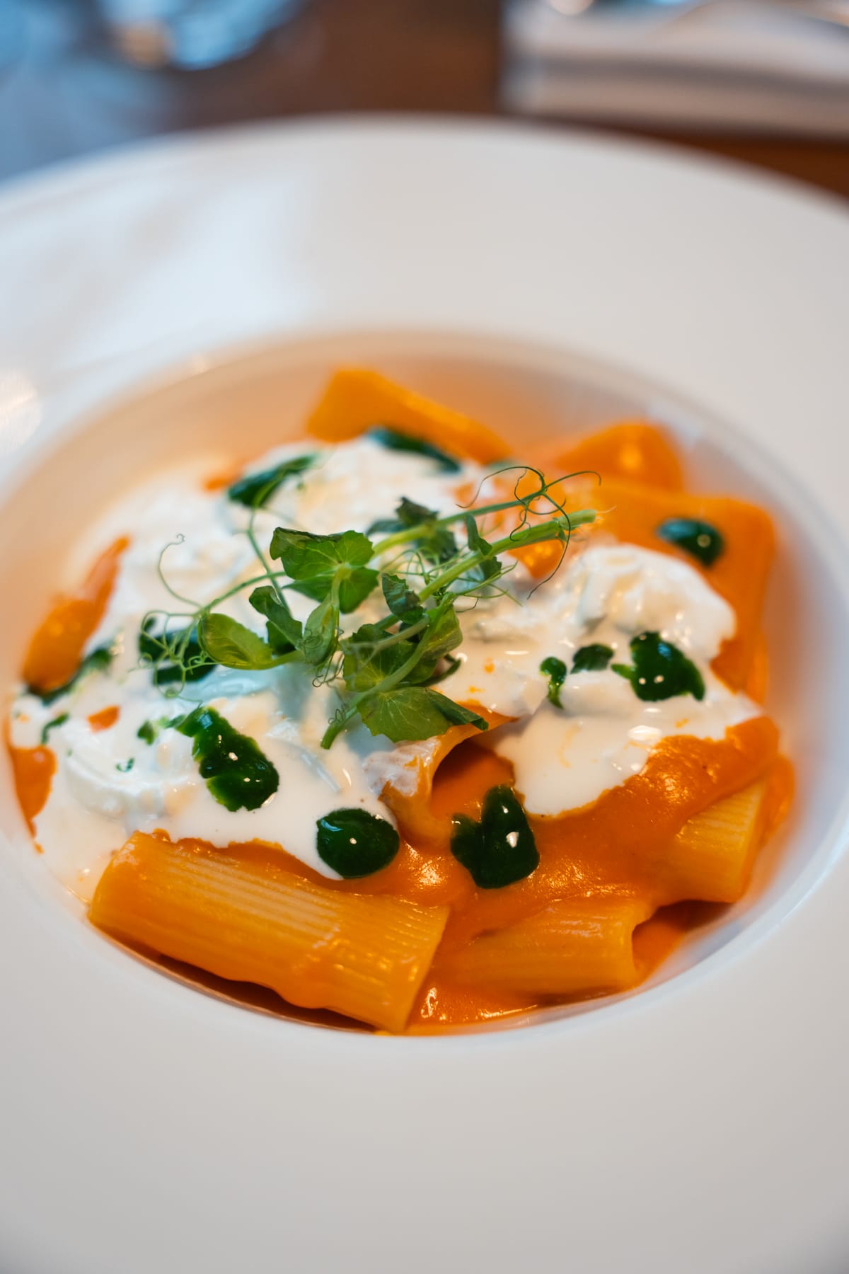 Paccheri alla caprese con stracciatella